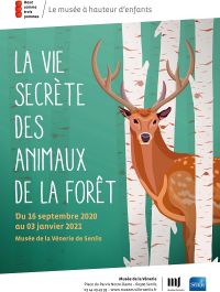 La vie secrète des animaux de la forêt