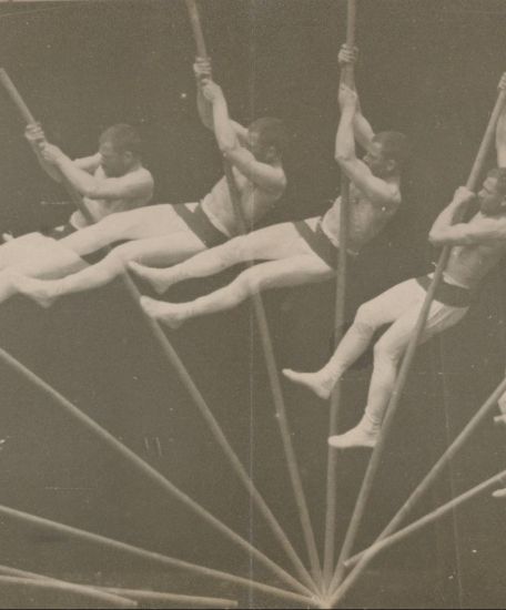 Étienne-Jules Marey - "Movements in Pole Vaulting" - Google Art Project