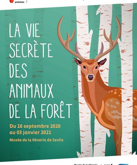 La vie secrète des animaux de la forêt